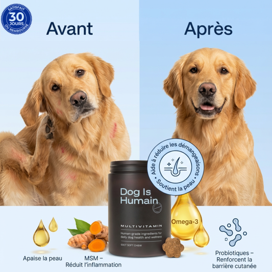Croquette multivitamine pour chiens