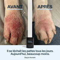 Friandises Anti-Démangeaisons, Soulage en 3 à 6 semaines