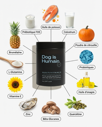 Friandises Anti-Démangeaisons, Soulage en 3 à 6 semaines