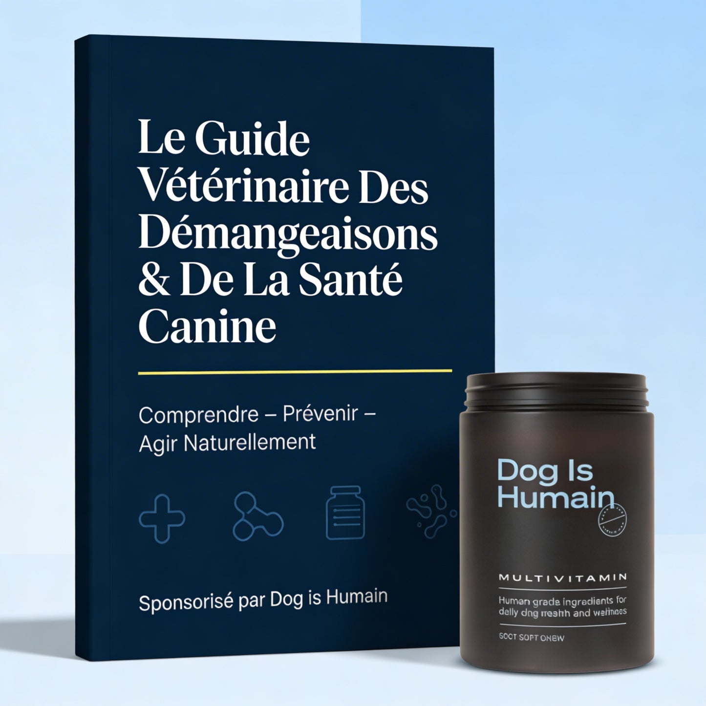 Guide Vétérinaire Anti-Démangeaisons