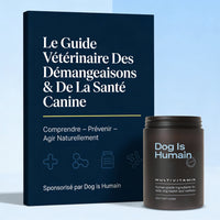 Guide Vétérinaire Anti-Démangeaisons