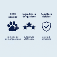 Croquette multivitamine pour chiens