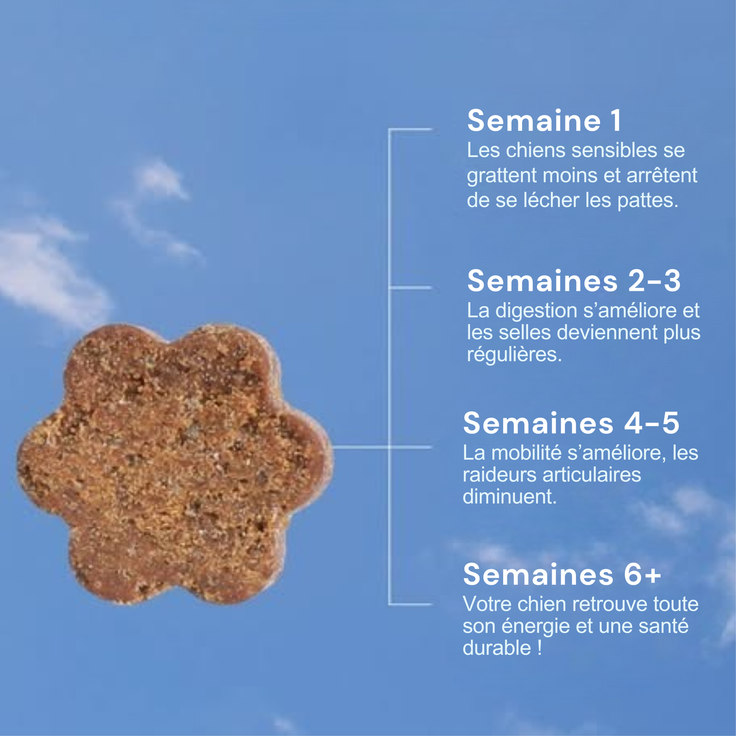 Croquette multivitamine pour chiens